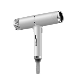 Professionel ionisk Føntørrer - Letvægt, Hurtig & Støjsvag