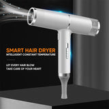 Professionel ionisk Føntørrer - Letvægt, Hurtig & Støjsvag