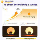 Smart Wake-up Lampe M. APP, Natlys og Solopgangseffekt